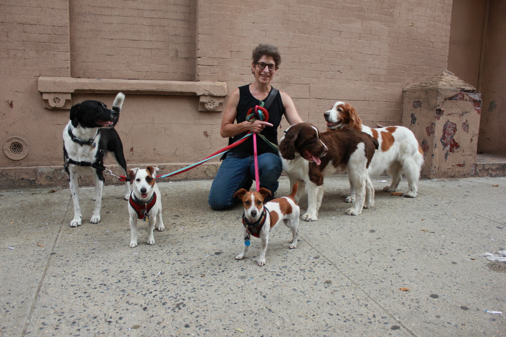 Nancy Soyer Brooklyn's Best Ways to Pamper Your Pets